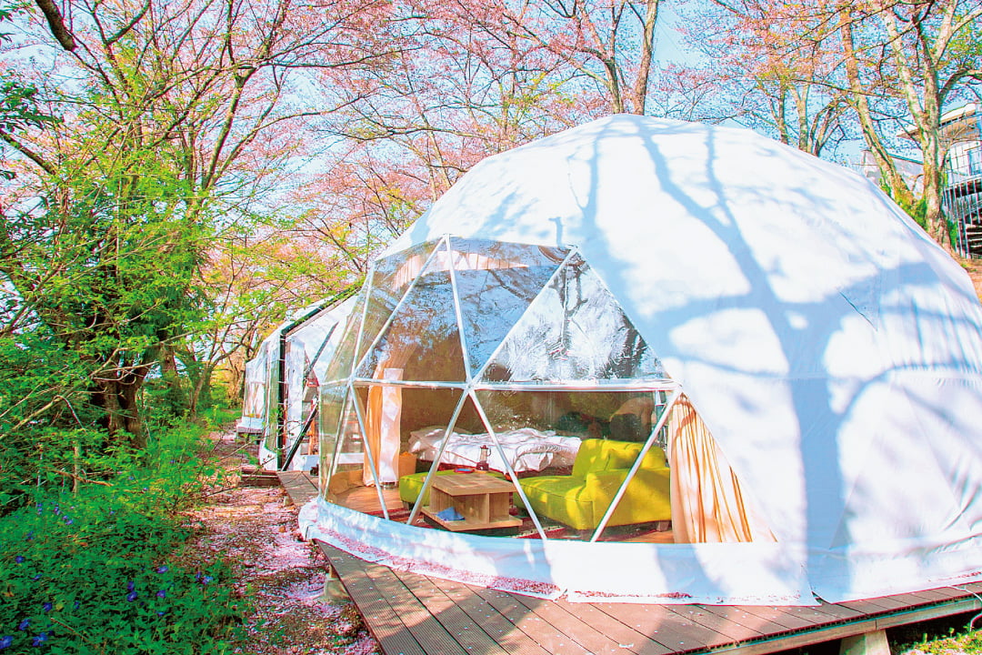 Glamping — view 2